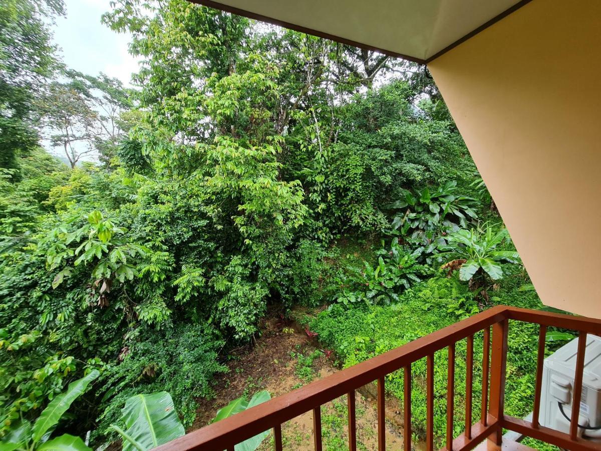 Ceiba Lodge Drakes Bay المظهر الخارجي الصورة