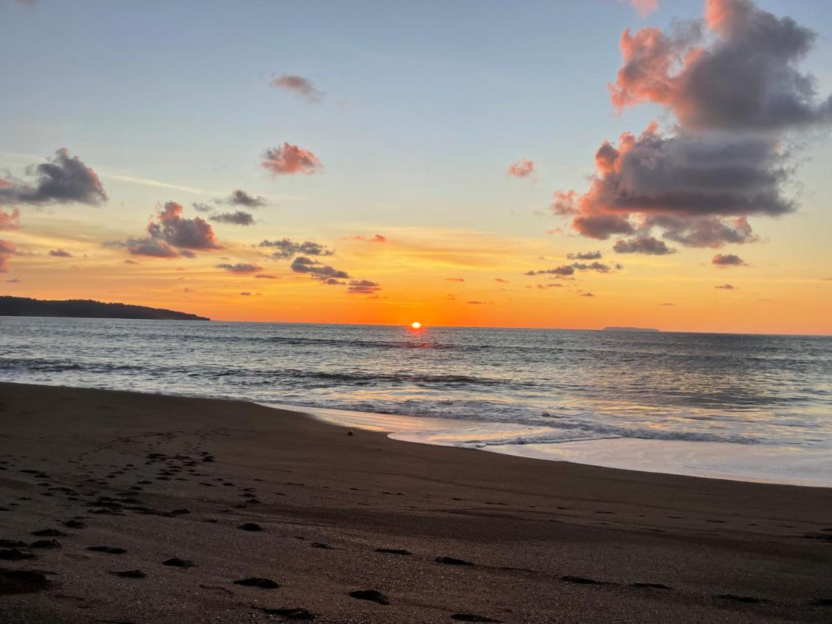 Ceiba Lodge Drakes Bay المظهر الخارجي الصورة