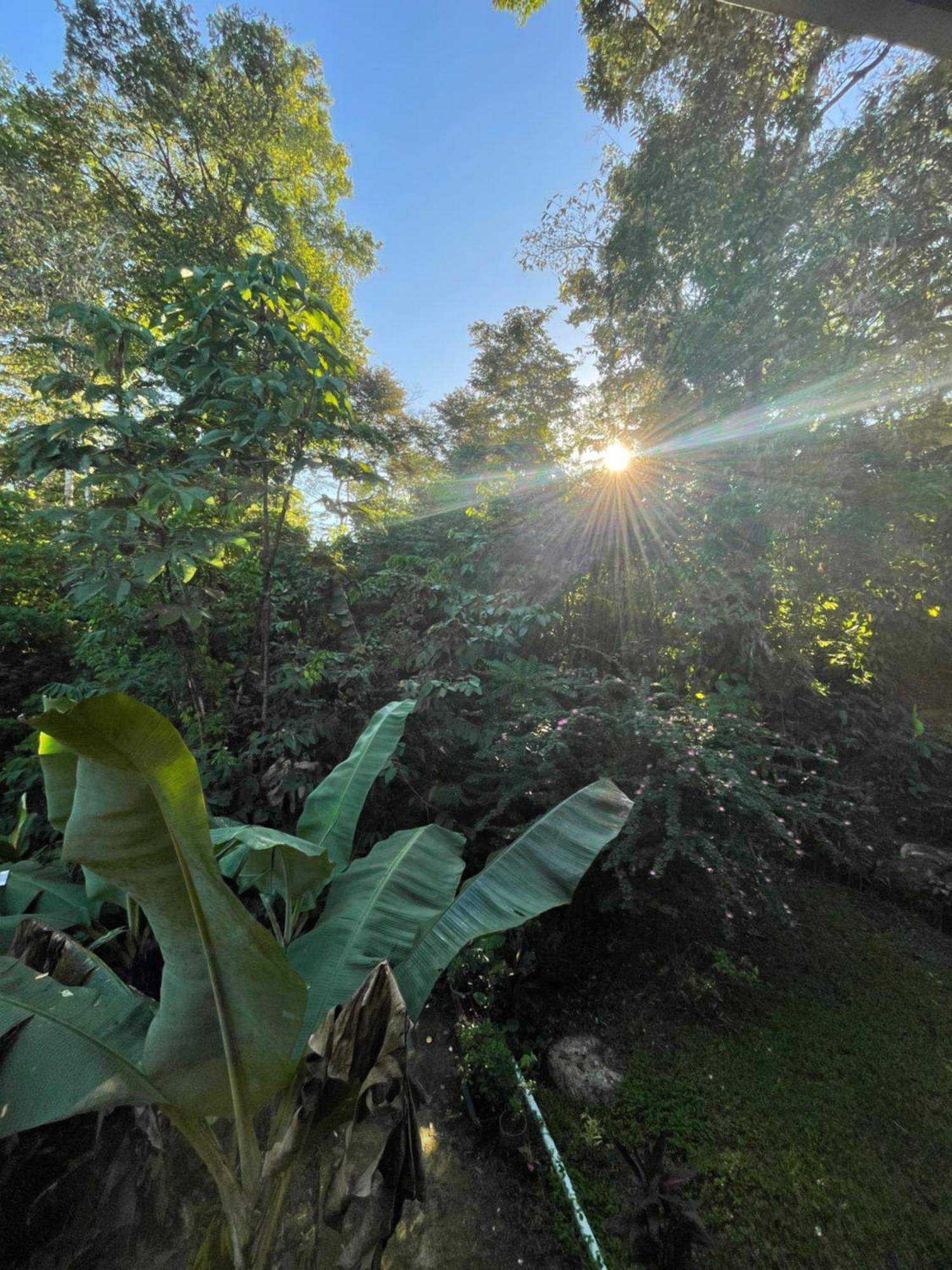 Ceiba Lodge Drakes Bay المظهر الخارجي الصورة