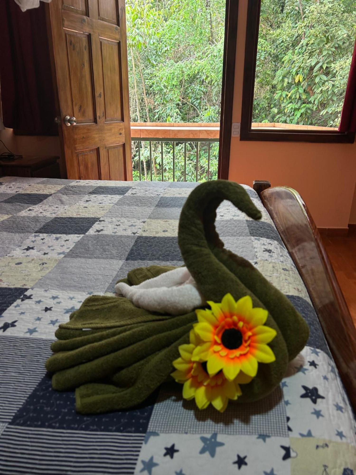 Ceiba Lodge Drakes Bay المظهر الخارجي الصورة